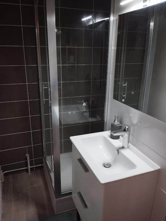 une salle de bain avec un lavabo et une douche dans l'établissement Chambre d'hôte calme de résidence, quartier pavillonnaire, à Saint-Denis