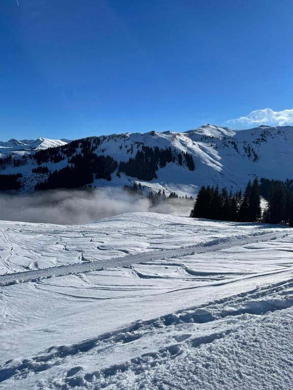 Genießen Sie Bergblick & Sauna im modernen Chalet v zimě