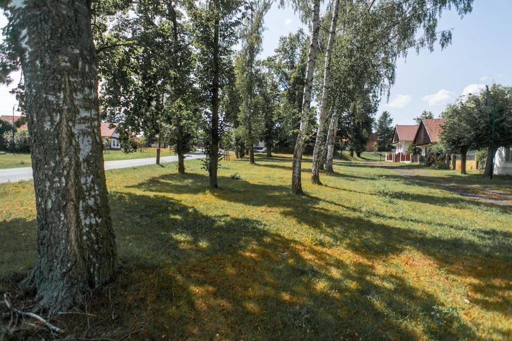 Zahrada ubytování Fara Bošín
