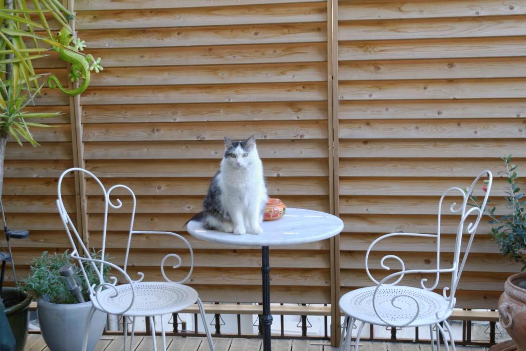 a cat sitting on a table next to two chairs at Hotel Du Commerce in Pont-Saint-Esprit