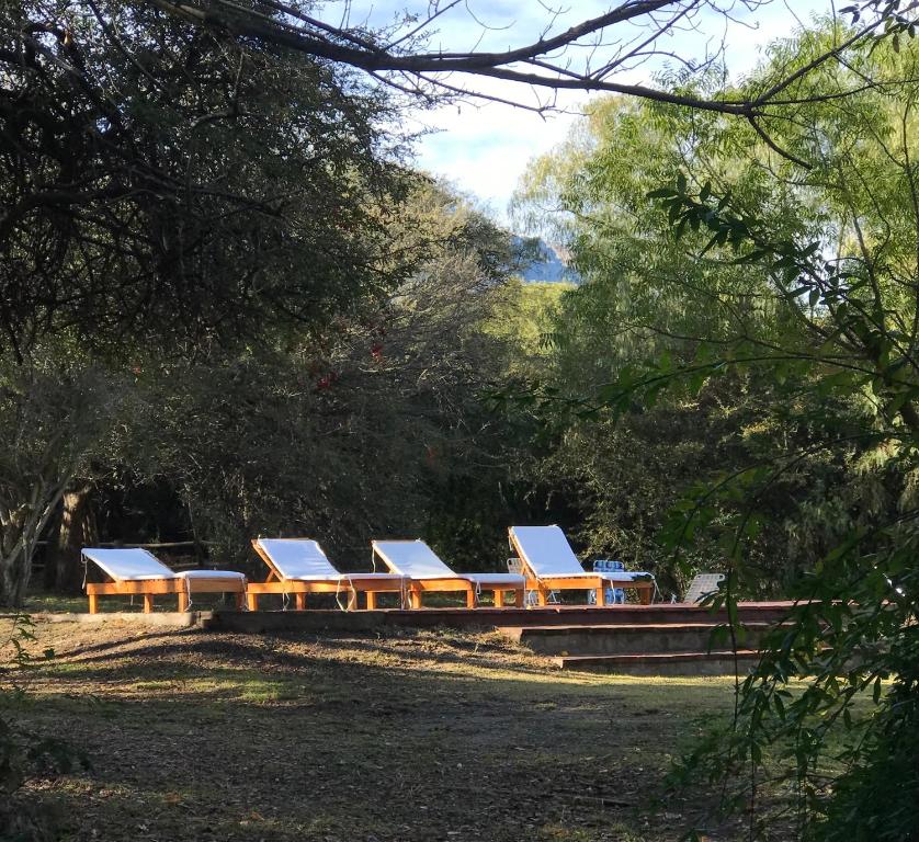 a row of lounge chairs in a park at La Castellana in La Población