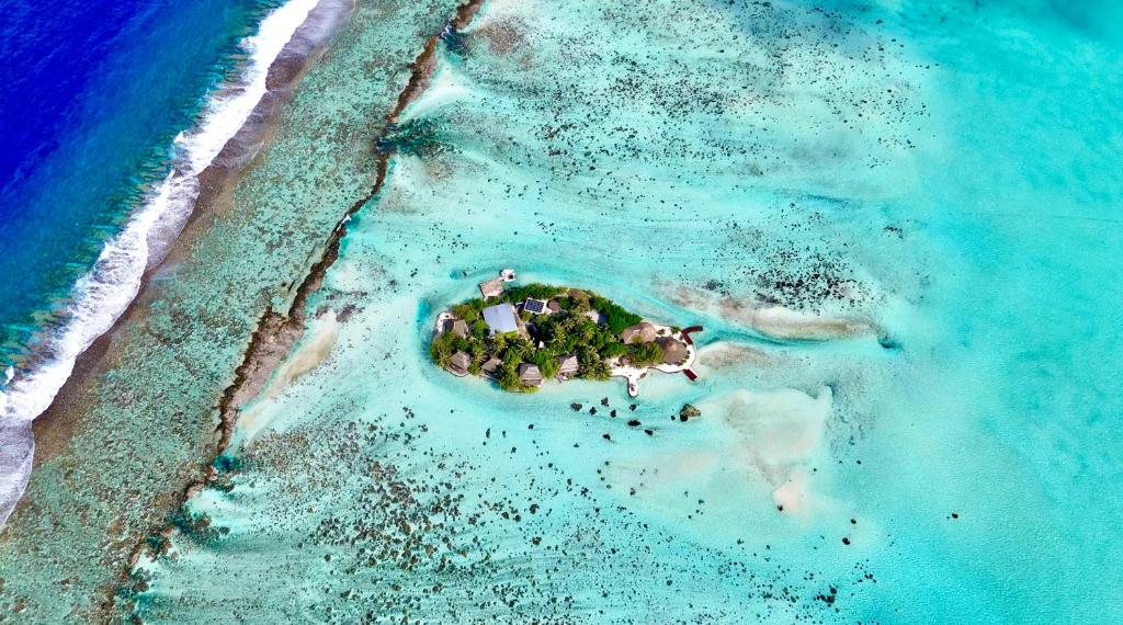 PatioEDEN Private Island TAHAA的海洋岛屿的空中景观
