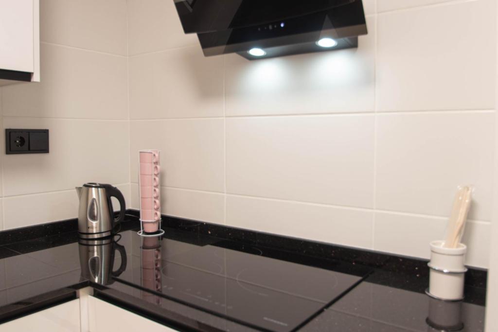 Kuchyňa alebo kuchynka v ubytovaní Elvira 54 Apartment