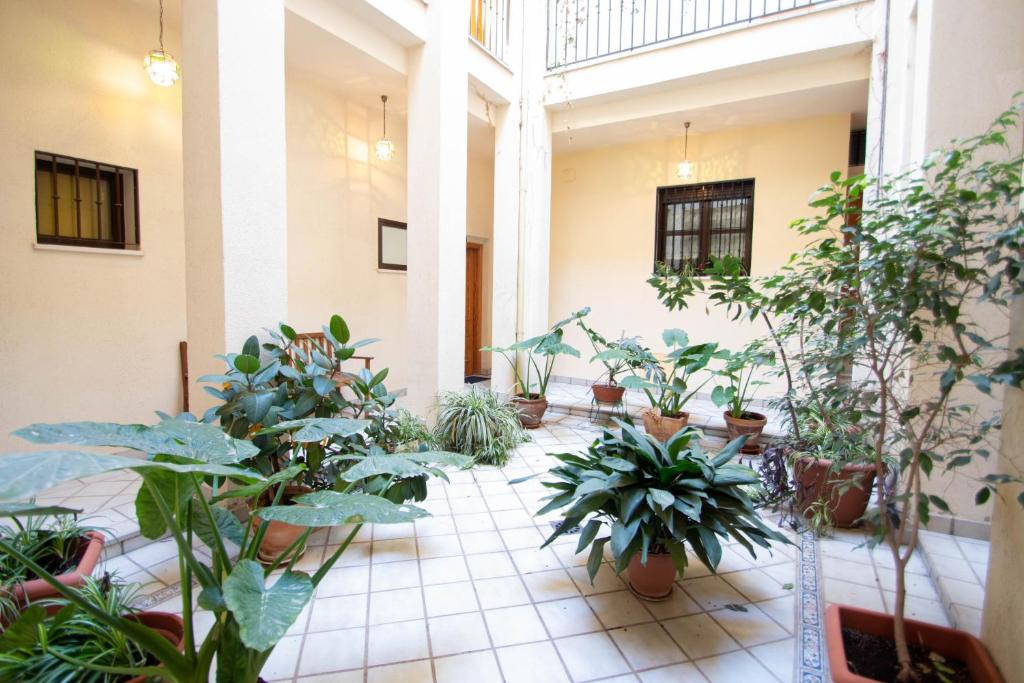 Vonkajšia záhrada v ubytovaní Elvira 54 Apartment
