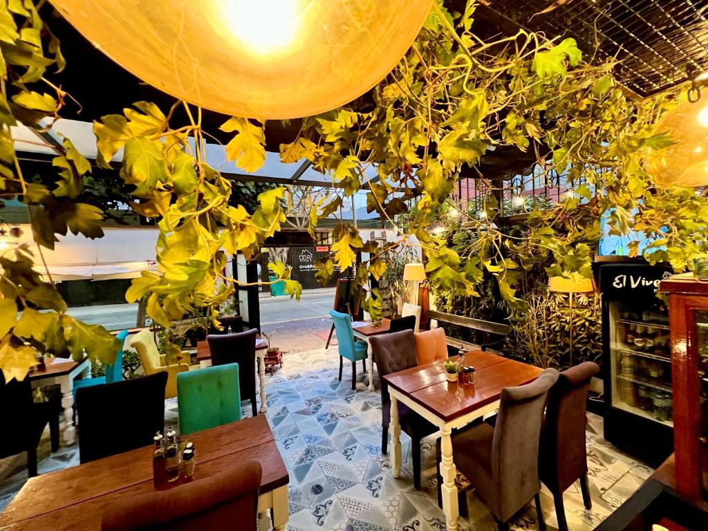 Restaurace v ubytování La Casa del Viajero
