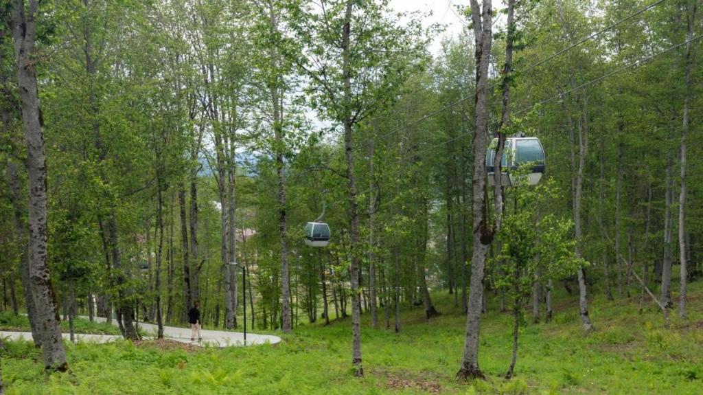 Loodusmaastik korterhotelli lähedal