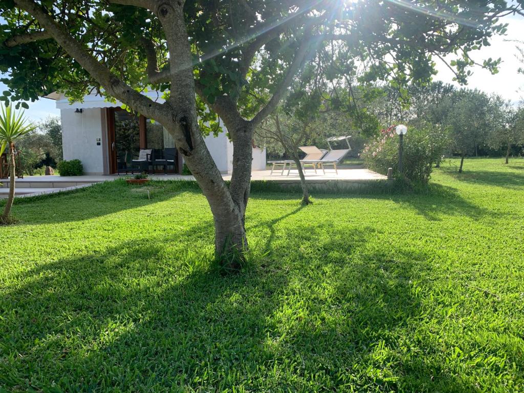 Ogród w obiekcie La Casetta Holiday Home