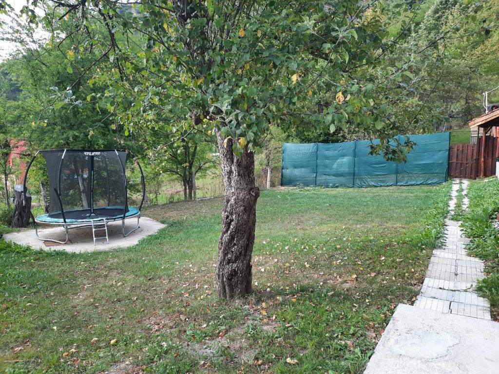 Zahrada ubytování Guest House Lazar Raykov
