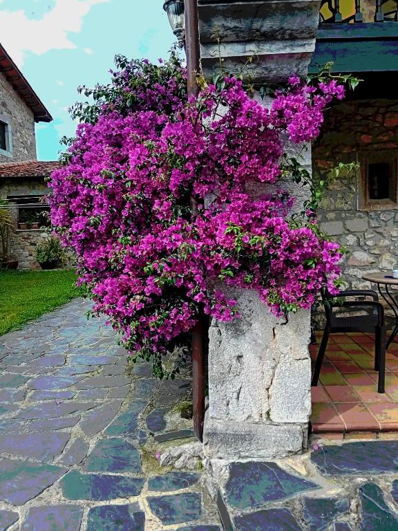 a planter filled with purple flowers on the side of a building at Gran Pedroso de Llanes in Llanes