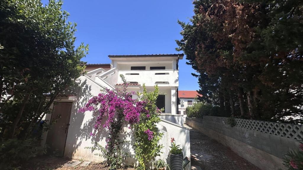 Apartments with parking space Novalja - Pag - 23367