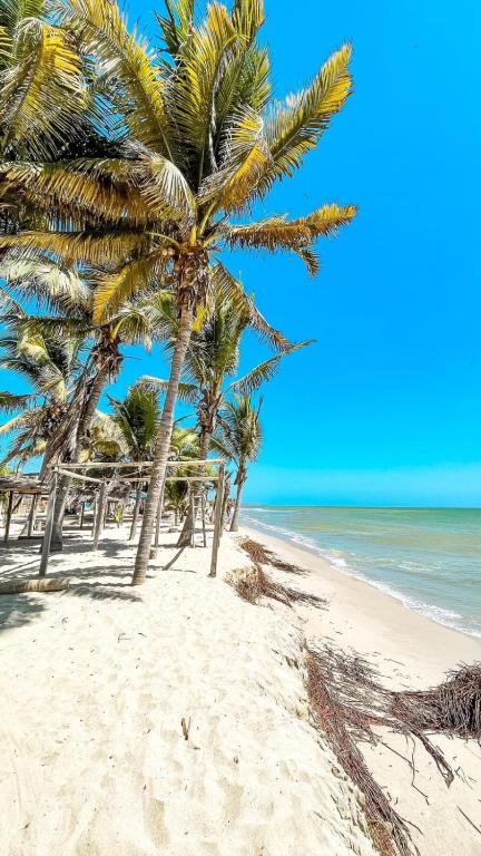 トゥンベスにあるHospedaje Ocasosの砂浜のヤシの木群