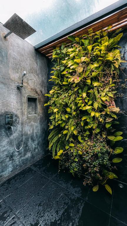 Fotografie z fotogalerie ubytování Encanto del Arco Glamping v destinaci Pijao