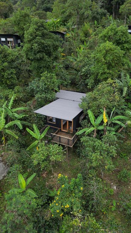 Zahrada ubytování Hotel La Palma y El Tucán - Café y Naturaleza