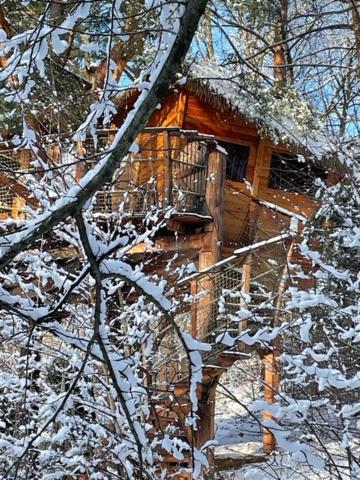 Foto sihtkohas Světlá nad Sázavou asuva majutusasutuse Treehouse Stvořidla galeriist