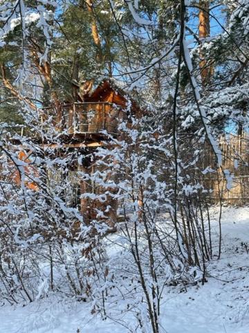 Foto sihtkohas Světlá nad Sázavou asuva majutusasutuse Treehouse Stvořidla galeriist