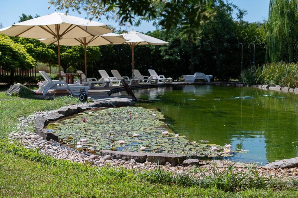 a pond with umbrellas and chairs in a yard at Corte all'Olmo in Ca' di David