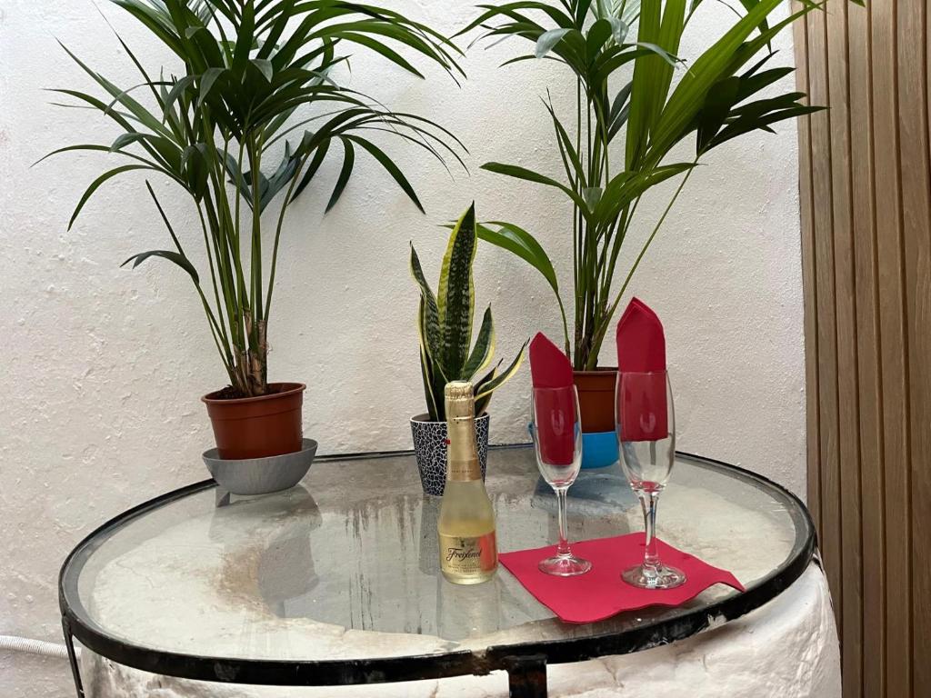 una mesa con dos copas de vino y macetas en Belmonte Rooms, en Córdoba