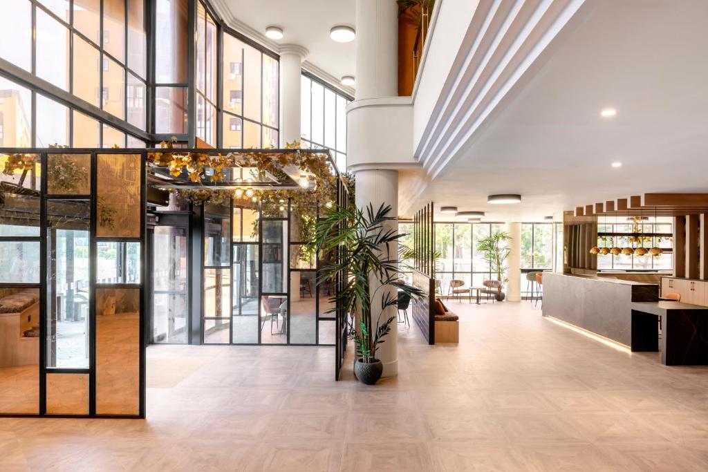 Acta Pirámides - Resim 2