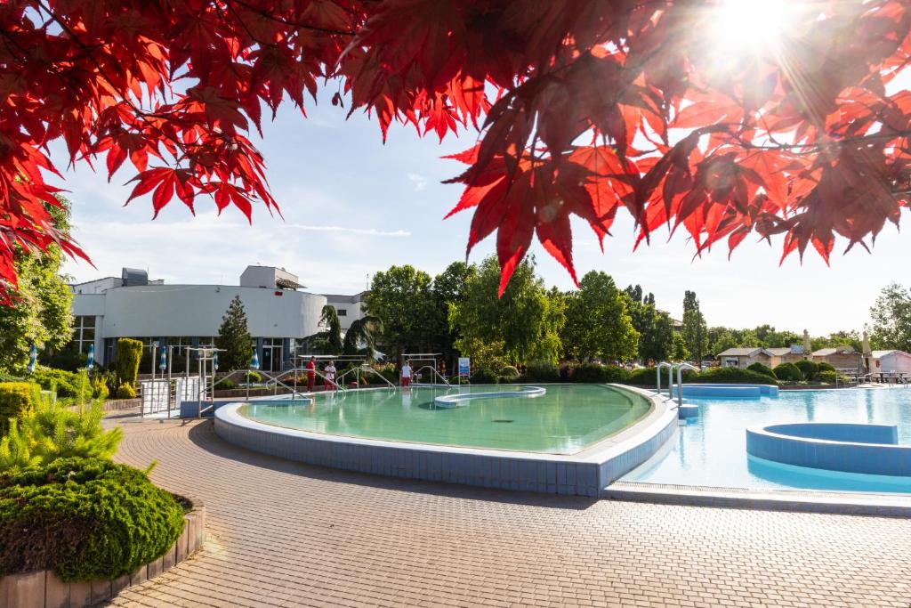 Bazén v ubytování Thermal Hotel Campino nebo v jeho okolí