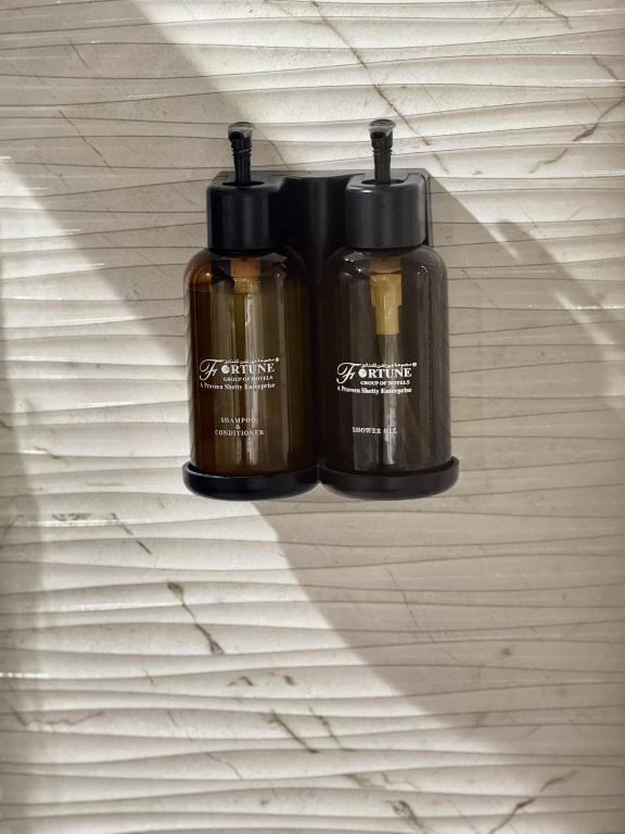 Fortune Plaza Hotel, Dubai Airport - Resim 30