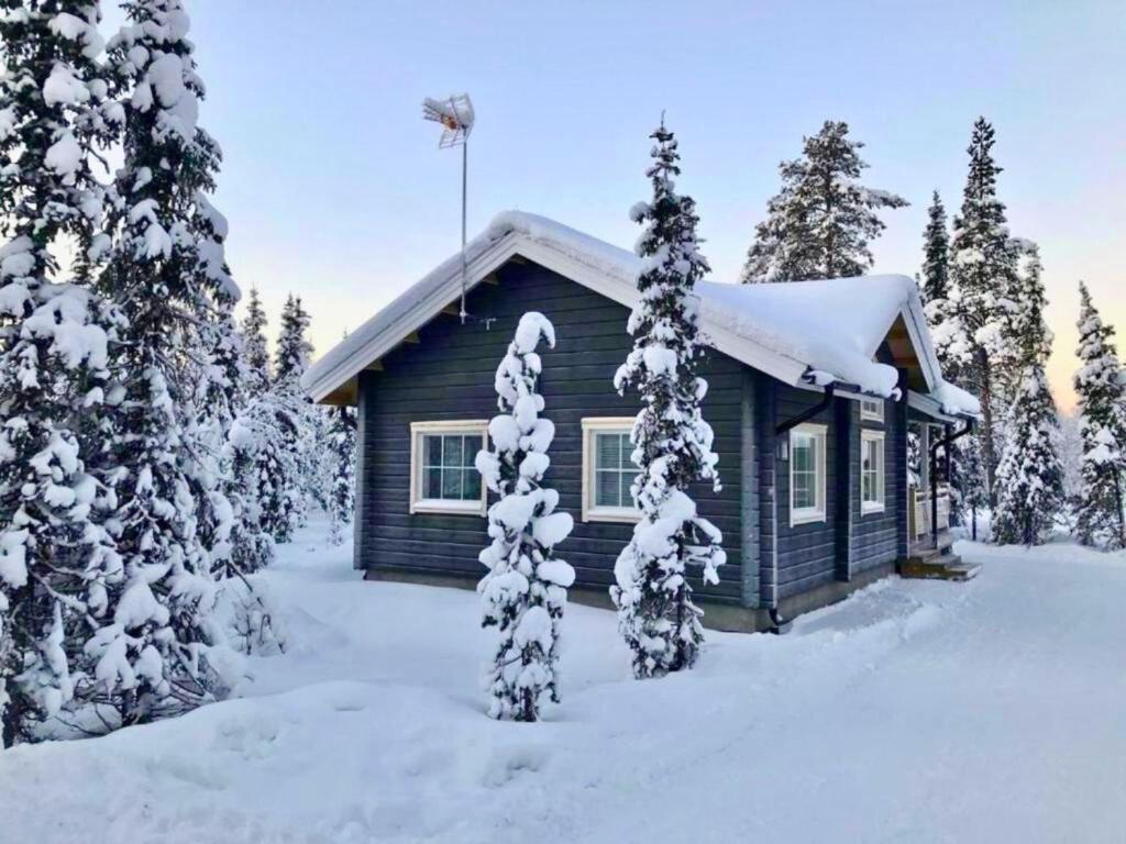 Arctic Home Experience v zimě