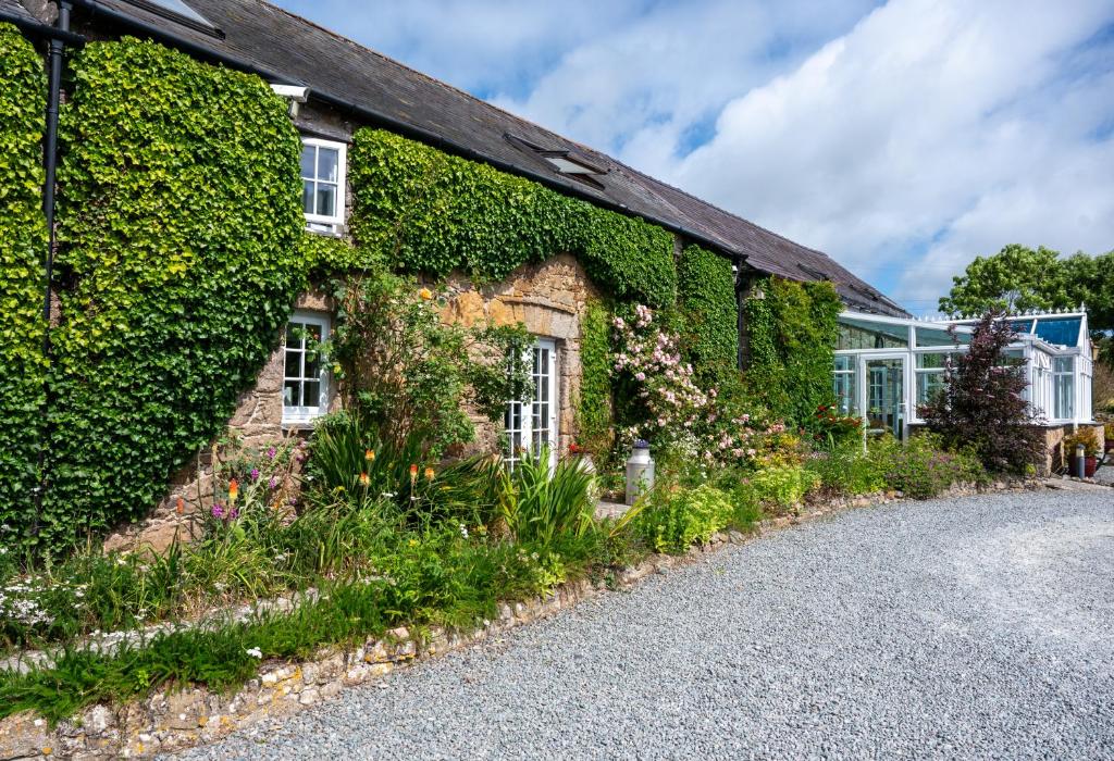 スランゲヴニにあるNant Yr Odyn Country Hotel & Restaurant Ltdの蔦屋根の建物