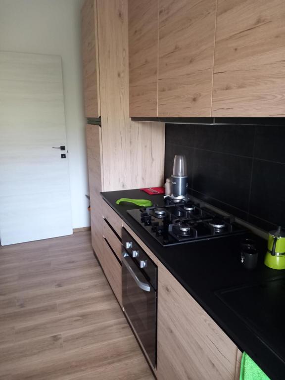 Kuchyň nebo kuchyňský kout v ubytování Luxury Garden Flat