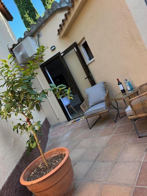 a potted plant in a pot on a patio at Acogedor piso independiente Valldoreix in Sant Cugat del Vallès