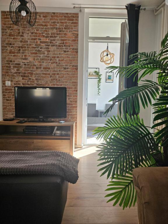 Apartman 