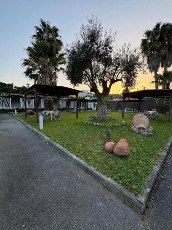 Hotel Federico II - Resim 11