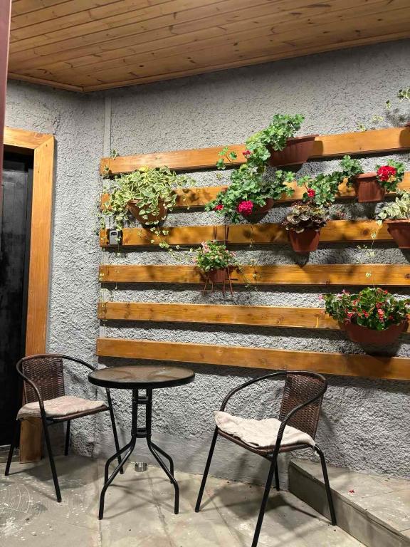 Fotografie z fotogalerie ubytování Comfy corner v destinaci Telavi
