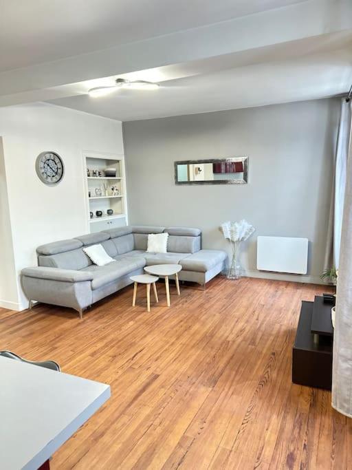 un salon avec un canapé et une table dans l'établissement Appartement au centre ville, à Salies-de-Béarn