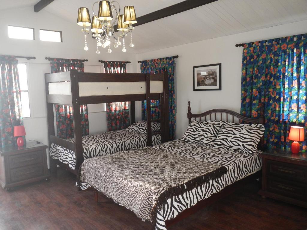 Blue Shark Apartments - Family Bungalow