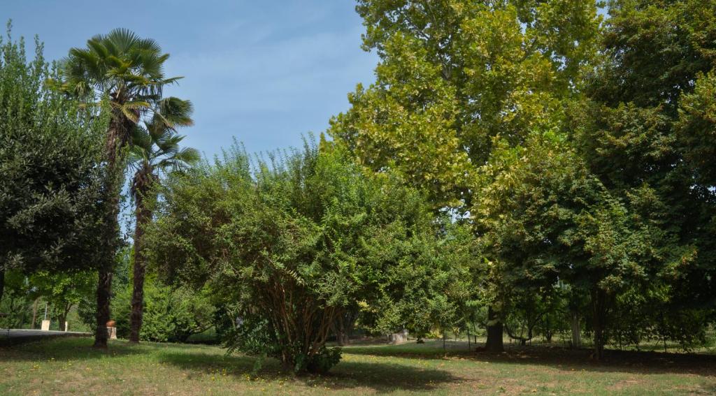 Vonkajšia záhrada v ubytovaní Nikola's Garden