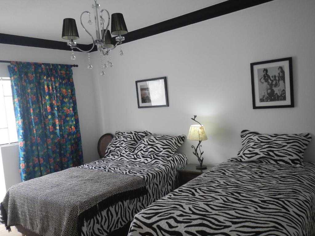 Blue Shark Apartments - Superior Double Room