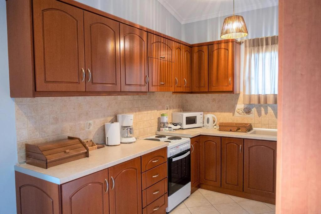 Kuchyň nebo kuchyňský kout v ubytování Elenas Villas