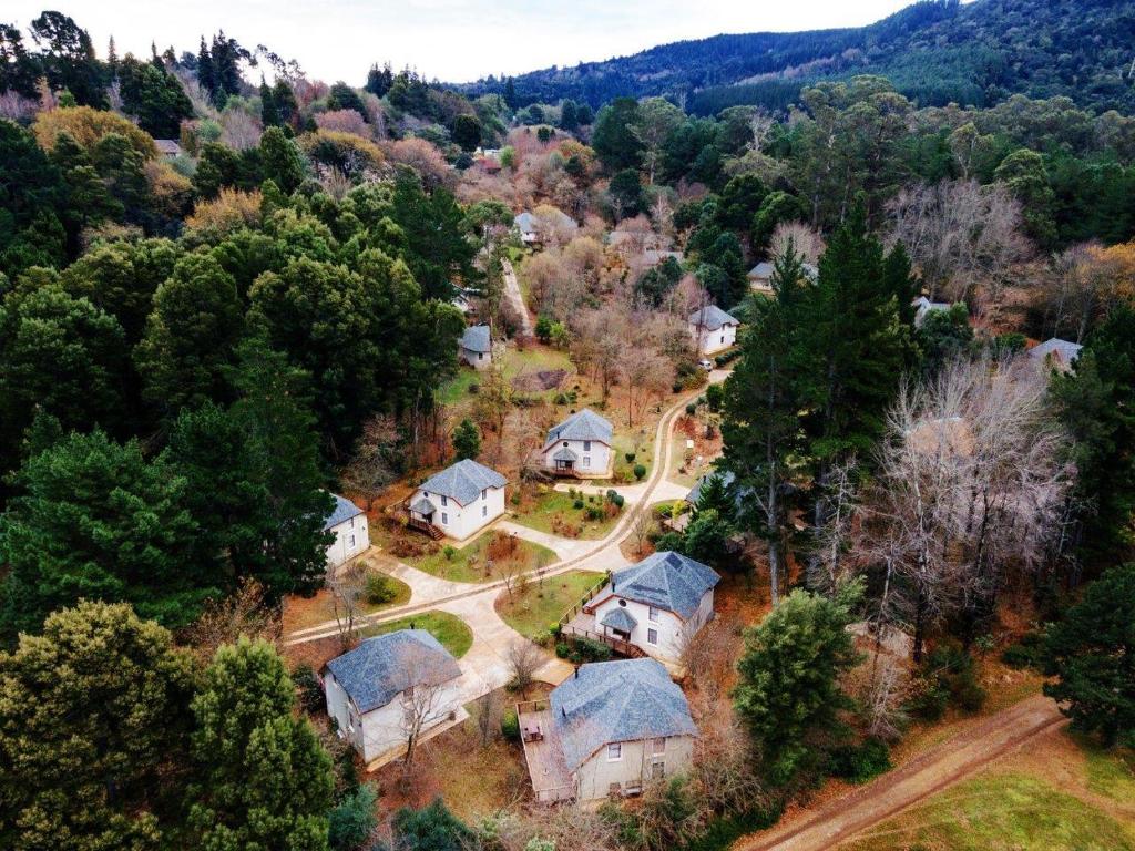 an aerial view of a home in the woods at Hogsback Arminel Self catering Cottages in Hogsback
