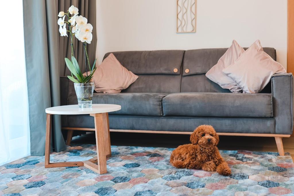 Posezení v ubytování Home Stay Juniper