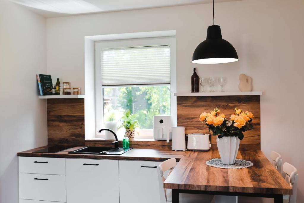 Kuchyň nebo kuchyňský kout v ubytování Home Stay Juniper