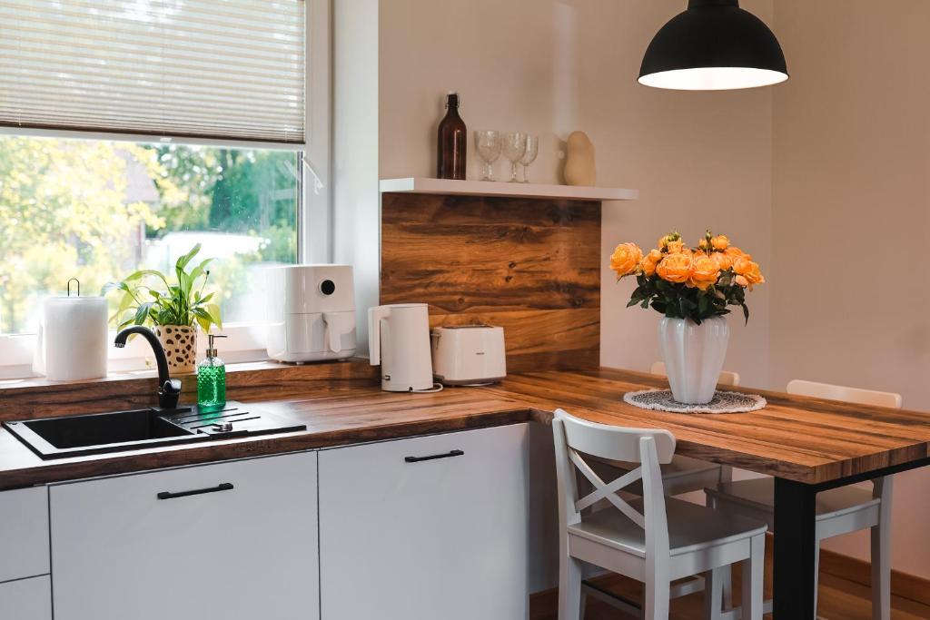 Kuchyň nebo kuchyňský kout v ubytování Home Stay Juniper