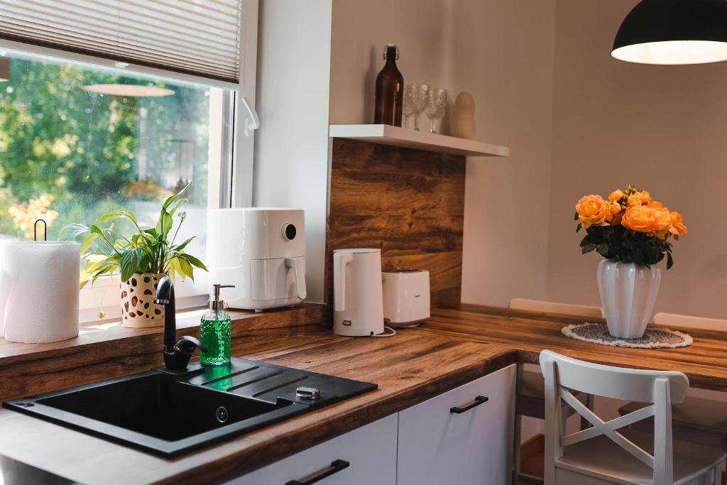 Kuchyň nebo kuchyňský kout v ubytování Home Stay Juniper