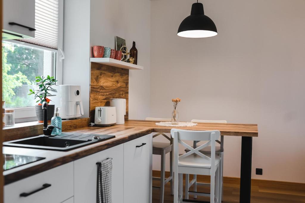Kuchyň nebo kuchyňský kout v ubytování Home Stay Juniper