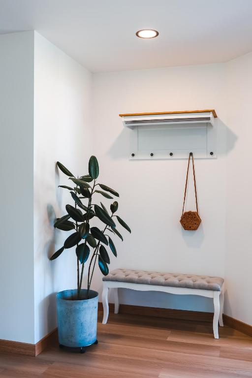 Fotografie z fotogalerie ubytování Home Stay Juniper v destinaci Jelgava