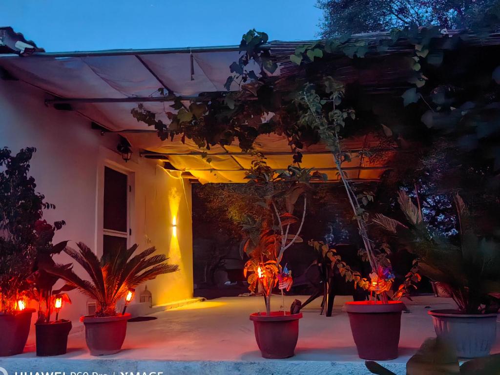 Zahrada ubytování CORFU OASIS studio