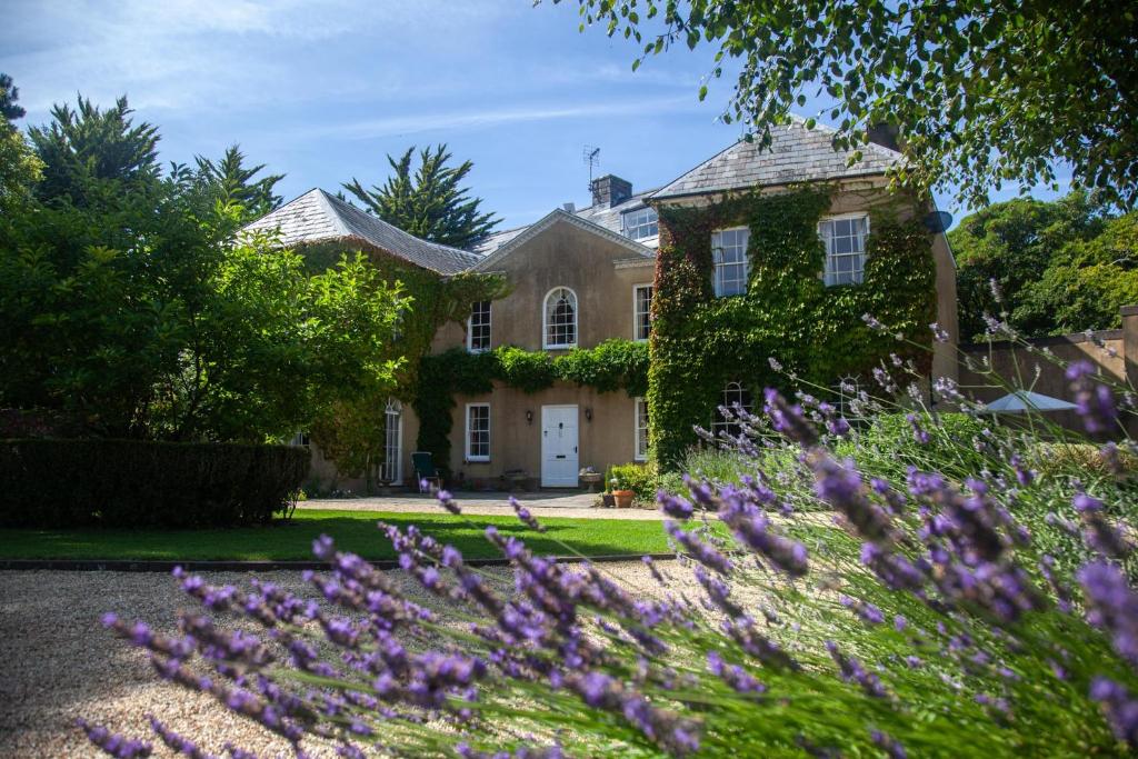 Zahrada ubytování Clemenstone House B&B