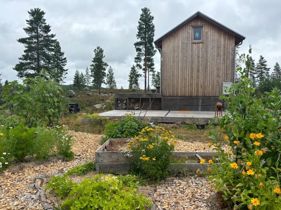 Taman di luar Wonderful barn cabin in Järvsö Harsa