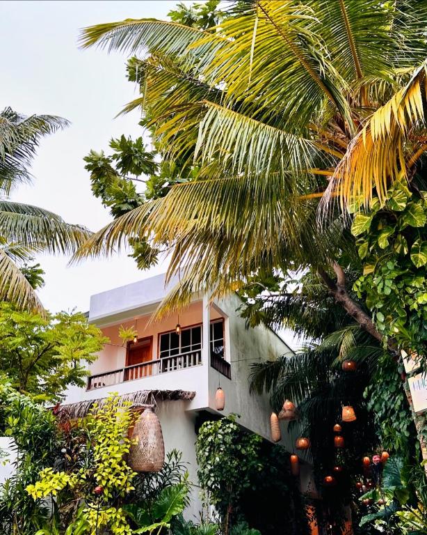 Zahrada ubytování ODI KAMADHOO