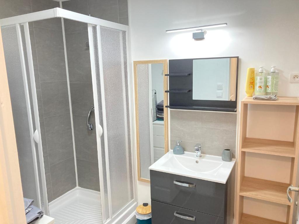 a bathroom with a shower and a sink at A&J Family - Neuvy sur Loire - Guédelon in Neuvy-sur-Loire