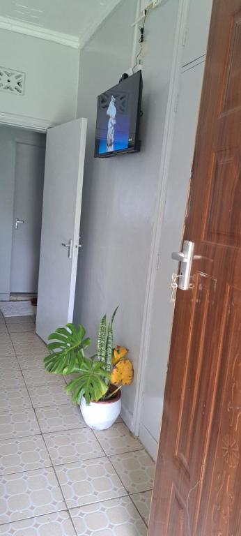 TV a/nebo společenská místnost v ubytování Palmview studio