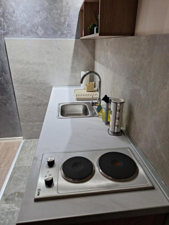 Kuchyň nebo kuchyňský kout v ubytování Apartments Green Beograd